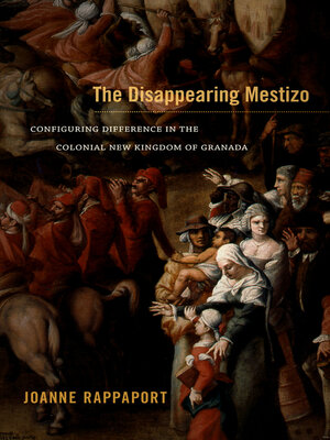 cover image of The Disappearing Mestizo